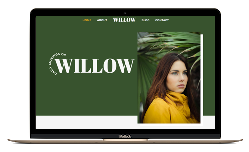 preview of willow project